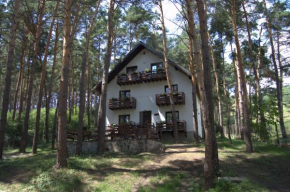  Complex Parc Pini Moinesti  Мойнешти